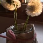 pusteblume1